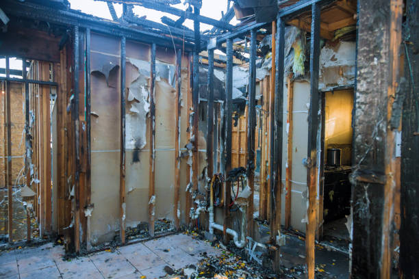 Professional Smoke Damage Removal technician working in Waipahu, HI